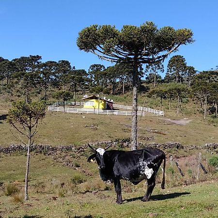 Casa E Cabana De Campo Fazenda Borba Urubici Eksteriør billede