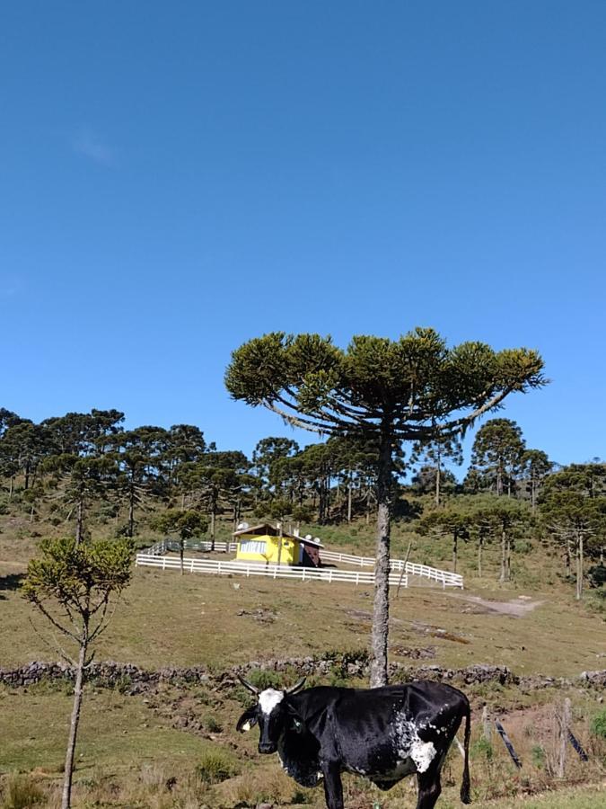 Casa E Cabana De Campo Fazenda Borba Urubici Eksteriør billede