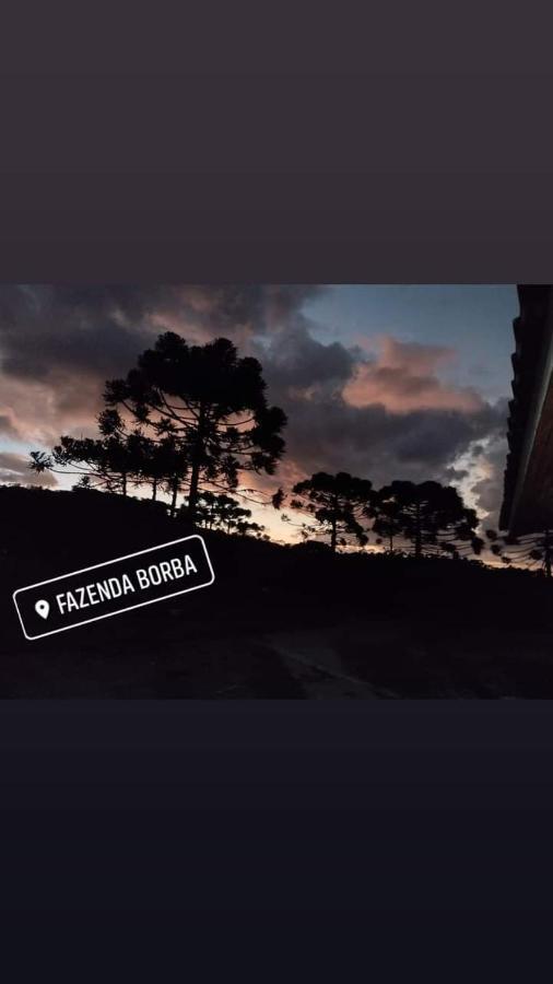 Casa E Cabana De Campo Fazenda Borba Urubici Eksteriør billede