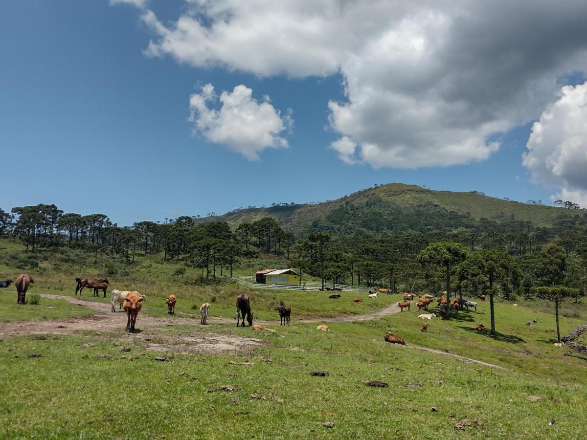Casa E Cabana De Campo Fazenda Borba Urubici Eksteriør billede
