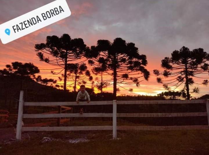 Casa E Cabana De Campo Fazenda Borba Urubici Eksteriør billede