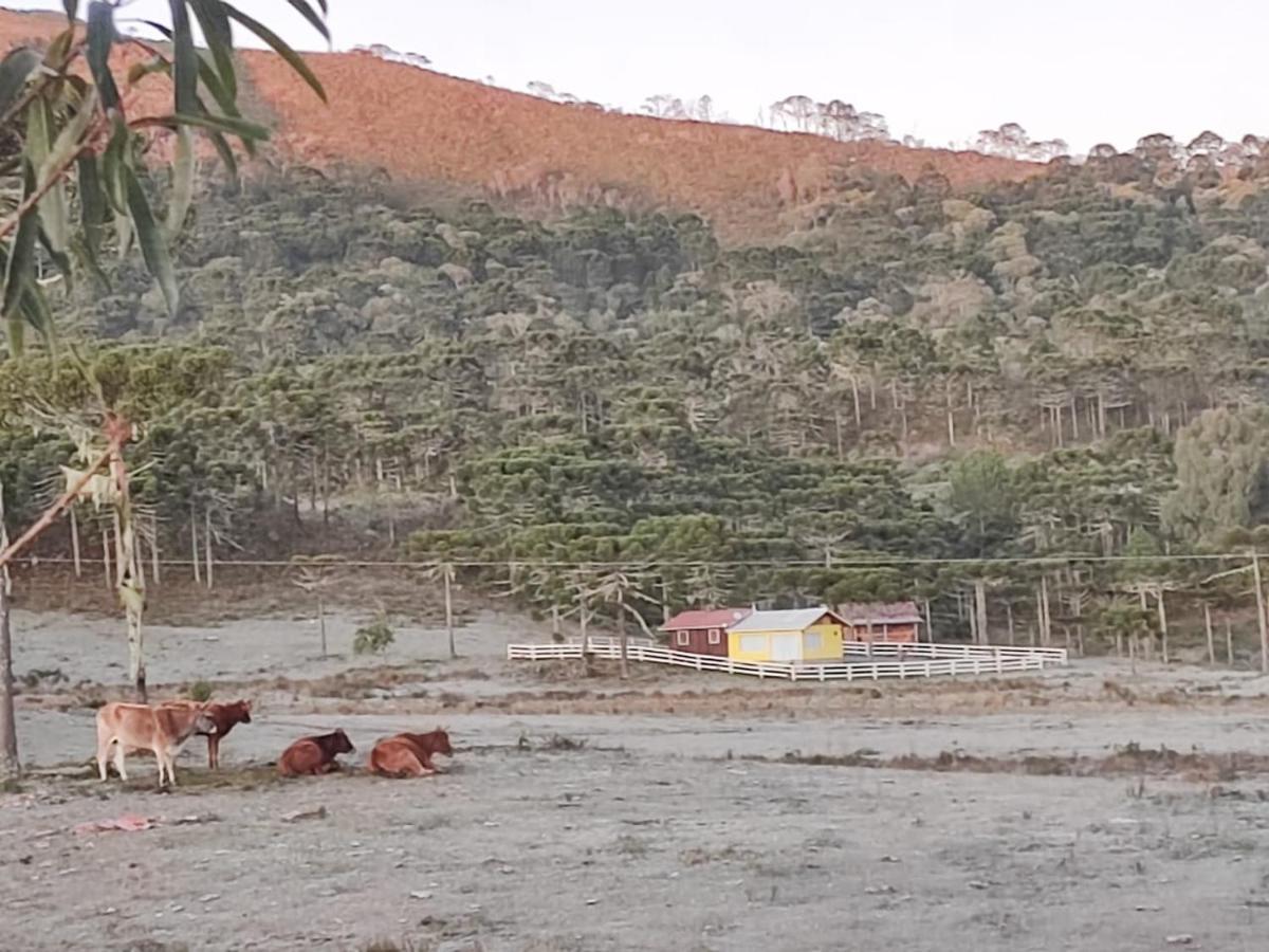 Casa E Cabana De Campo Fazenda Borba Urubici Eksteriør billede