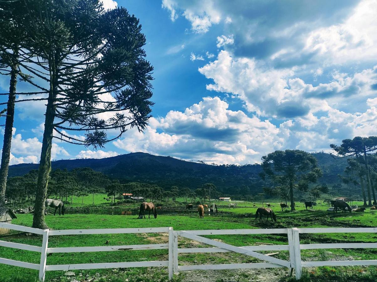 Casa E Cabana De Campo Fazenda Borba Urubici Eksteriør billede