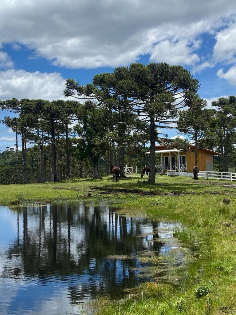Casa E Cabana De Campo Fazenda Borba Urubici Eksteriør billede