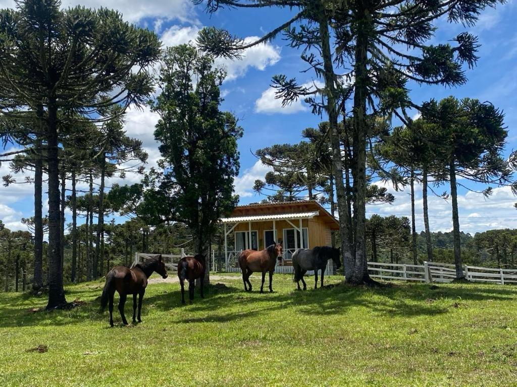 Casa E Cabana De Campo Fazenda Borba Urubici Eksteriør billede