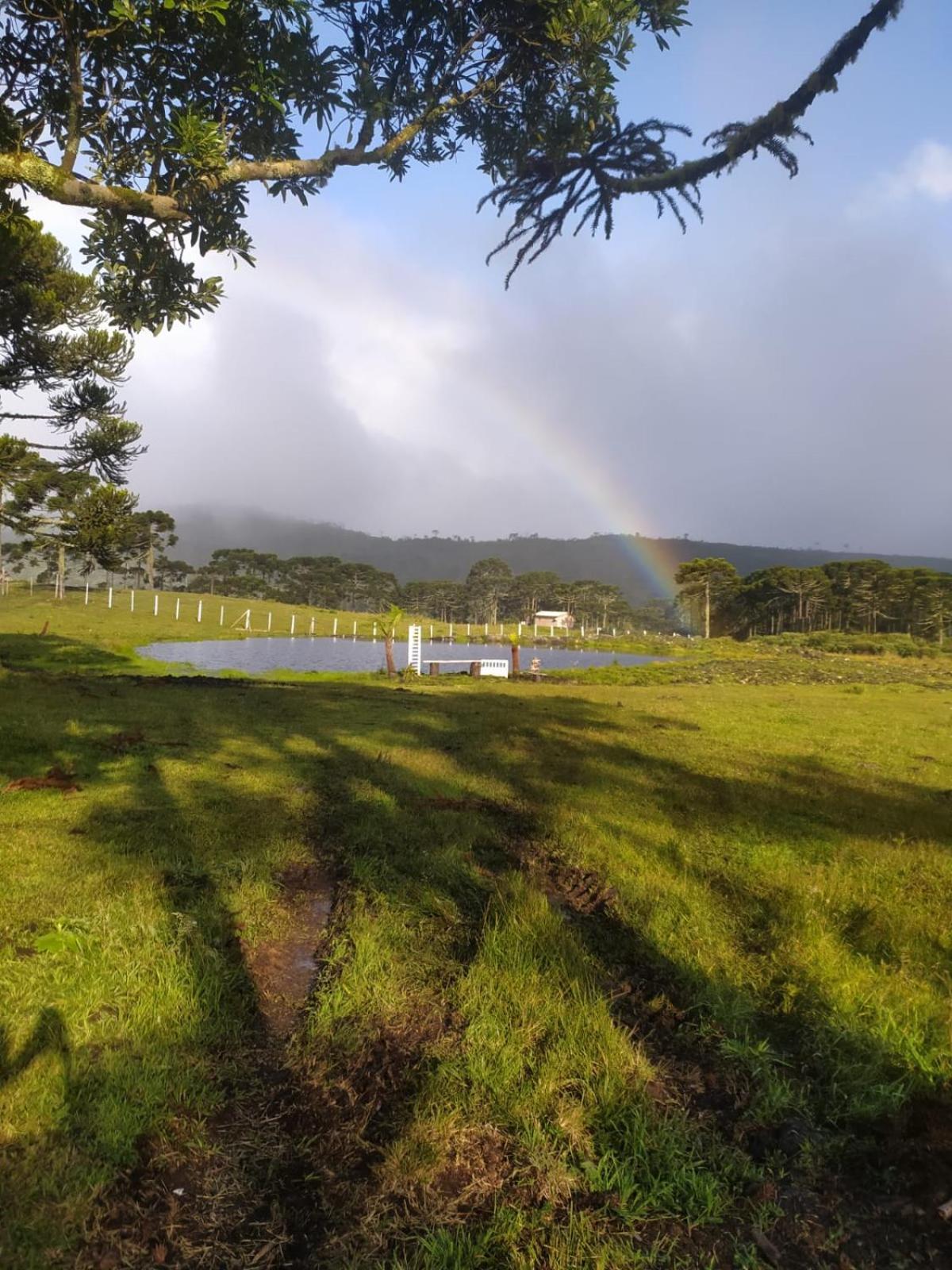 Casa E Cabana De Campo Fazenda Borba Urubici Værelse billede