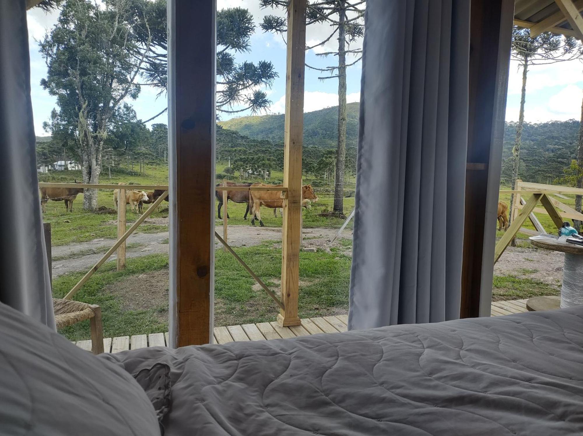 Casa E Cabana De Campo Fazenda Borba Urubici Værelse billede