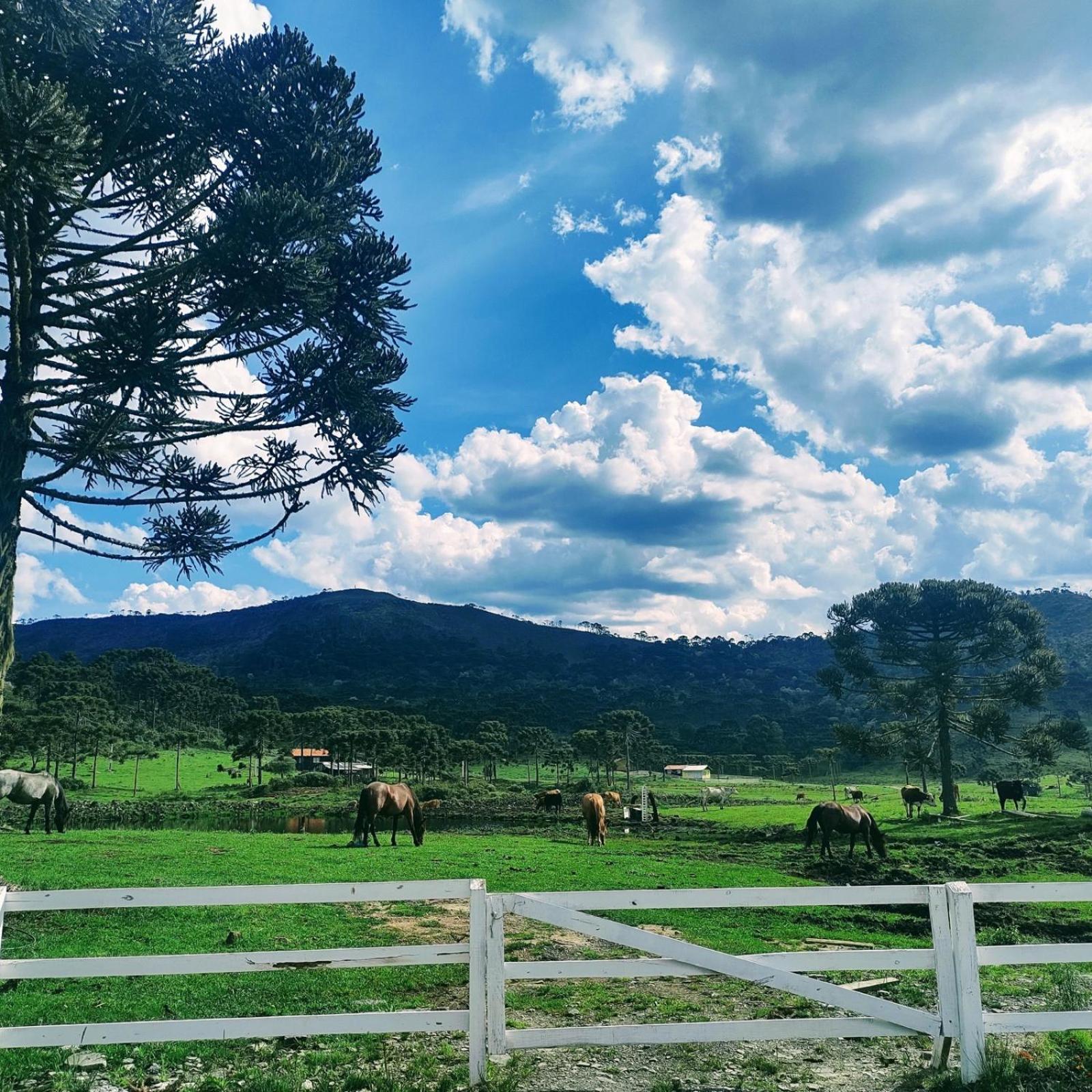 Casa E Cabana De Campo Fazenda Borba Urubici Eksteriør billede