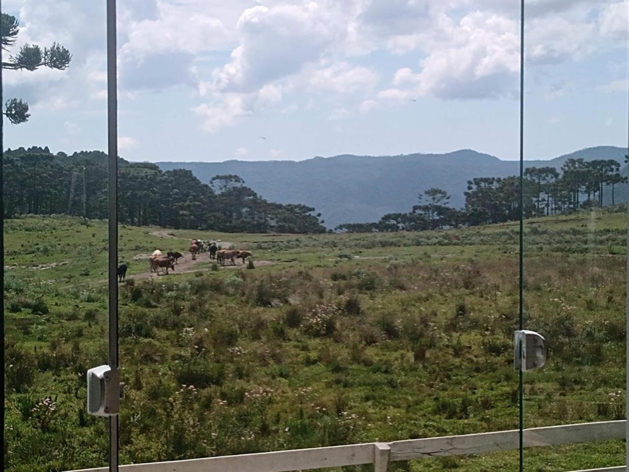 Casa E Cabana De Campo Fazenda Borba Urubici Eksteriør billede