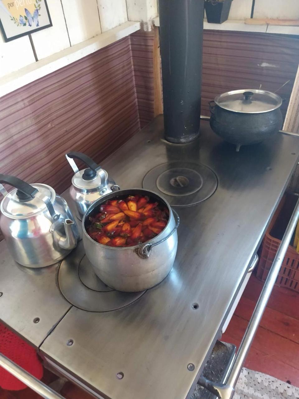 Casa E Cabana De Campo Fazenda Borba Urubici Eksteriør billede