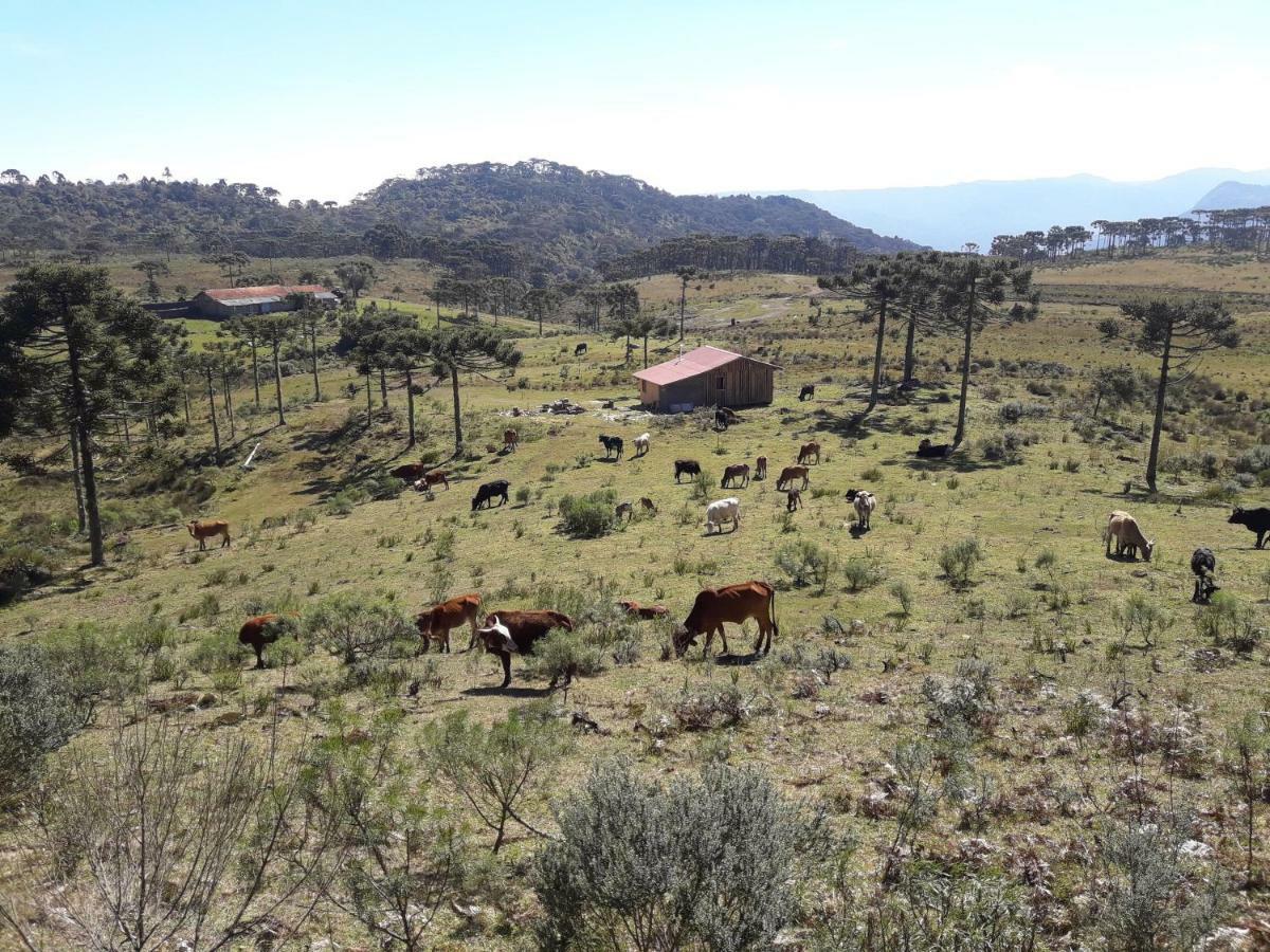 Casa E Cabana De Campo Fazenda Borba Urubici Eksteriør billede